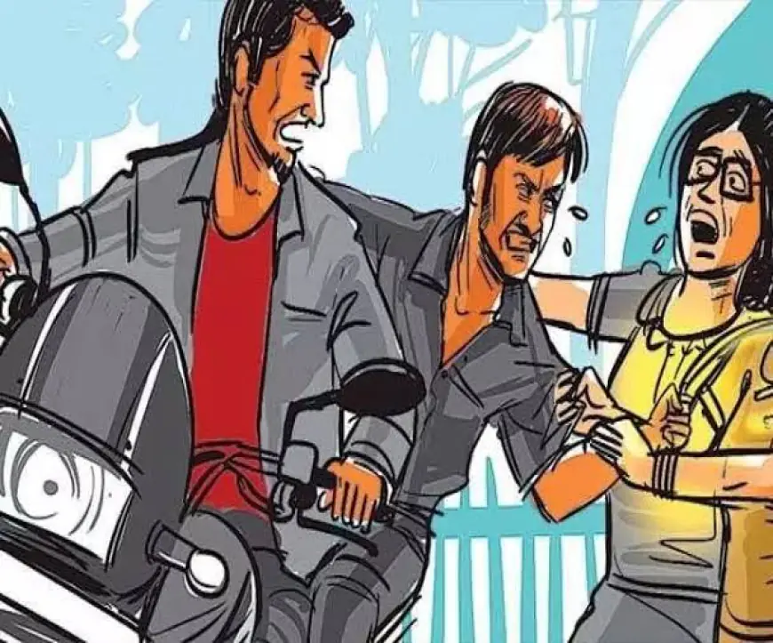 Noida News : लाखों रुपए कीमत के जेवरात और नगदी से भरे बैग बाइक सवार बदमाशों ने महिला से लूटा