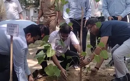 Noida News : आयुक्त ग्राम्य विकास ने विकास खण्ड बिसरख का निरीक्षण कर किया पौधारोपण