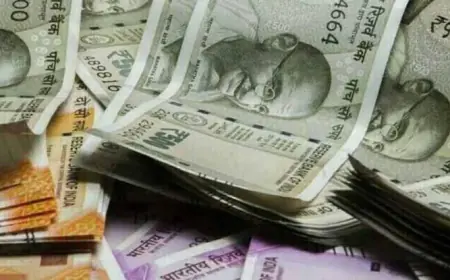 Noida News : अकाउंटेंट ने कंपनी के खाते से धोखाधड़ी कर 70 लाख रुपए का किया गवन