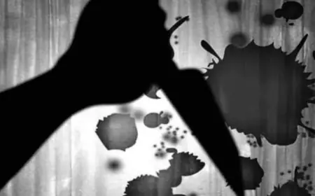 Noida News : पति ने पत्नी के ऊपर किया चाकू से हमला, मौत