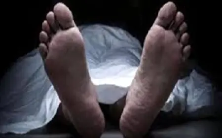 Noida News : गौतम बुद्ध नगर के विभिन्न जगहों पर दो अज्ञात शव मिले