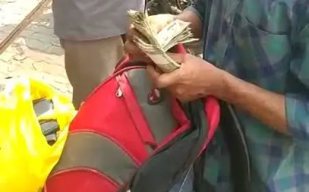 Noida News : यूपी रोडवेज के बस  परिचालक का बैग चोरी