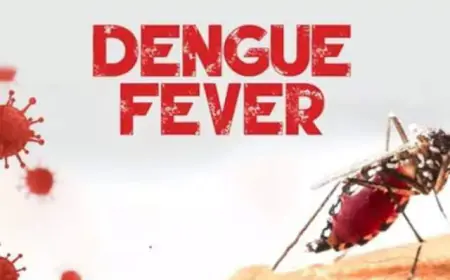 Noida News : पांच दिनों में मिले डेंगू के 30 मैरिज