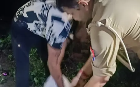 Greater Noida News : 14 फीट लंबे अजगर को चौकी प्रभारी ने किया काबू, सोशल मीडिया पर हो रही है जमकर प्रशंसा