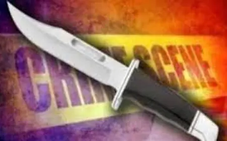 Noida News : उधार के पैसे मांगने गए शख्स पर चाकू से किया हमला