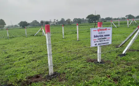 Noida News : प्लाट की चारदिवारी तोड़कर कब्जा करने का प्रयास