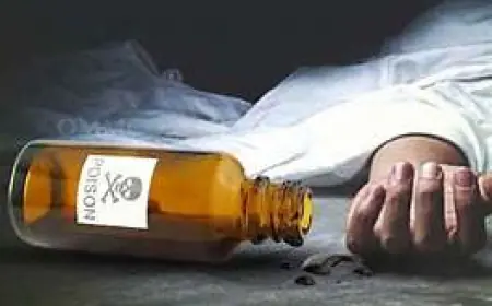 Dadri News : युवक-युवती समेत चार ने की आत्महत्या, 3 की संदिग्ध मौत