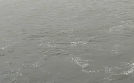 Noida News : मछली पकड़ते समय पानी में डूबे किशोर का शव बरामद नहीं