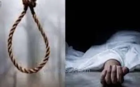 Noida News : किशोरी समेत दो ने की आत्महत्या