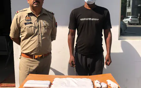 Noida News : नोएडा में नौकरीपेशा लोगों के घरों में चोरी करने वाला शातिर चोर गिरफ्तार