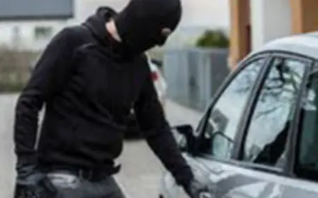 Noida News: सर्फाबाद गांव से कार चोरी