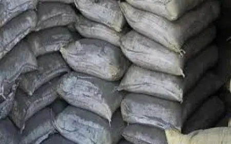 Greater Noida news : सीमेंट के गोदाम से 69 बोरिया चोरी