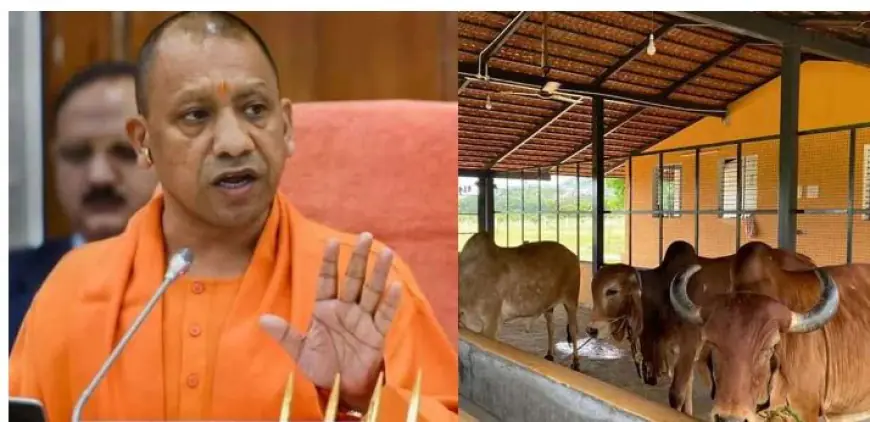 UP News : उत्तर प्रदेश में गोचर भूमि को कब्जा मुक्त कराने के लिए योगी सरकार चलाएगी विशेष अभियान