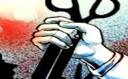 Noida News : कैंची से हमला कर महिला को किया गंभीर रूप से घायल