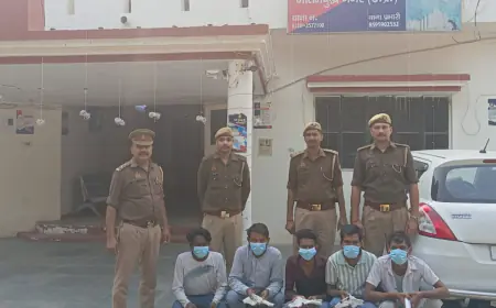 Noida News :  नोएडा पुलिस ने बदमाशों के खिलाफ चलाया विशेष अभियान, अवैध हथियार समेत 42  गिरफ्तार