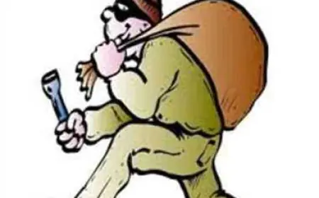 Noida News : अलग अलग स्थानों पर  चोरी की वारदात को अंजाम