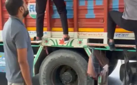 Noida News : ट्रक में भारी मात्रा में मिली गौवंश, तीन की मौत, दो गंभीर