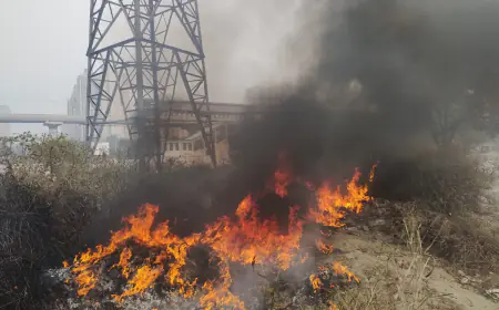 Noida News : कूड़े के ढेर में लगी भयंकर आग