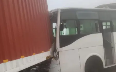 Noida News : घने कोहरे के चलते भयानक सड़क हादसा, सीरीज में दो ट्रक और बस टकराए, 17 घायल