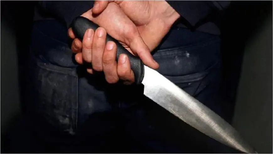 Noida News : मीट की दुकान पर खरीदारी करने गए दो लोगों में हुआ विवाद, एक ने दूसरे को छुरा घोंपा, मौत