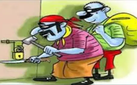 Noida News :   ब्रिगेडियर के घर से लाखों रुपए कीमत के जेवरात, नगदी और दो मोबाइल फोन चोरी