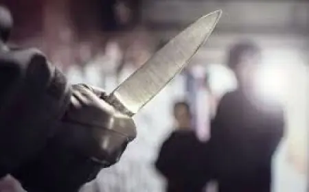 Greater Noida News :  जन्मदिन की पार्टी में चाकू से हमला कर एक ने की दूसरे की हत्या