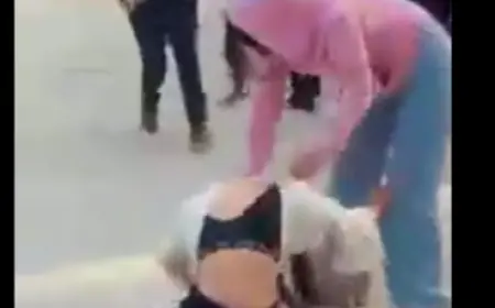 Greater Noida News : कॉलेज बना जंग का अखाड़ा, दो छात्राएं आपस में भिड़ी, सोशल मीडिया पर वीडियो वायरल