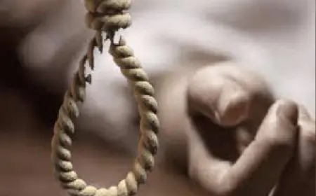 Noida News : सड़क हादसा, दो की मौत, युवक ने पंखे से फंदा लगाकर दी जान