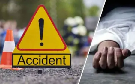 Noida News :  एक्सप्रेसवे पर ऑटो  पलट जाने से हुई  चालक की मौत