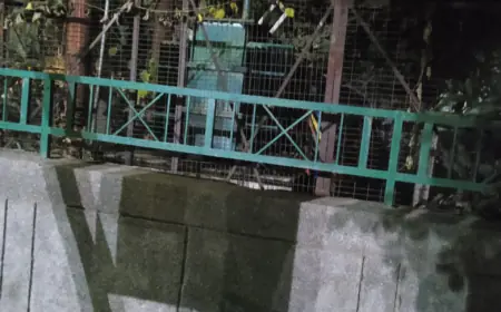 Noida News : नोएडा के नामी सेक्टर में लगा बिजली के ट्रांसफॉर्मर से तेल चोरी