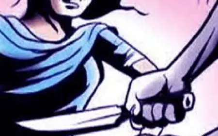 Noida News : बाथरूम में गई महिला के साथ शराबी ने की बदसलूकी, विरोध करने पर चाकू से हमला