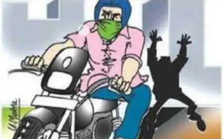 Noida News : विभिन्न जगहों से पांच वाहन चोरी