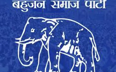 Noida News : बहुजन समाज पार्टी के जिला अध्यक्ष ने  घोषित की नई कार्यकारिणी