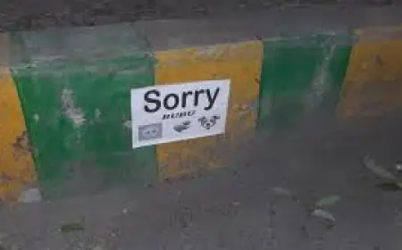 नोएडा से मेरठ तक लगा "सारी बूबू" का पोस्टर, जांच में जुटी पुलिस