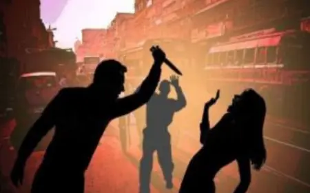 Noida News : नौकरी पेशा महिला को मारा चाकू, ब्यूटी पार्लर संचालिका को मिली धमकी