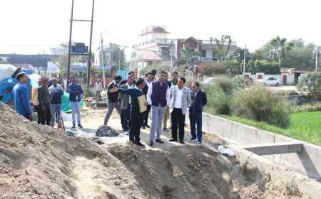 Noida News : नोएडा सीईओ ने लिया एक्शन, जल-सीवर व उद्यान विभाग के अधिकारियों पर की कार्रवाई