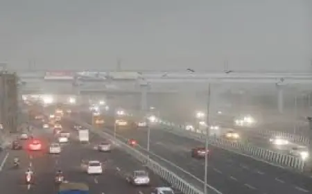 Weather Update : उच्च कोटि में पहुंची नोएडा की हवा