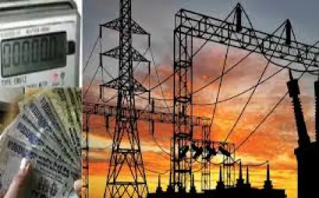 Noida News : बिजली का कर्मचारी बताकर दो लोगों ने मीटर बदला, 29 हजार रुपए की ठगी