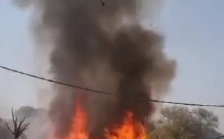 Greater Noida News : दनकौर के चचूला ग्राम में बड़ा हादसा, बिजली की शॉर्ट सर्किट से किसान की 7 बकरियां जिंदा जली, 3 गंभीर घायल