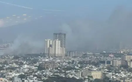 Noida News : उद्यानिक डंपिंग साइट पर लगी आग, शहर में फैला काला धुंआ