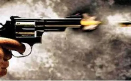 Jewar News : पैसों के लेनदेन के विवाद मे हुए झगड़े में पशु चिकित्सा और उसके भाई को लगी गोली