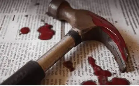 Noida News : चरित्र पर शक के चलते सॉफ्टवेयर इंजीनियर महिला के सिर पर हथौड़े से वार कर पति ने की हत्या