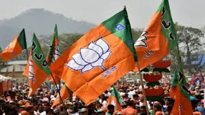 UP News :  भाजपा सरकार के 8 वर्ष के कार्यकाल में  जनपद गौतम बुद्ध नगर को मिली विकास की रफ्तार