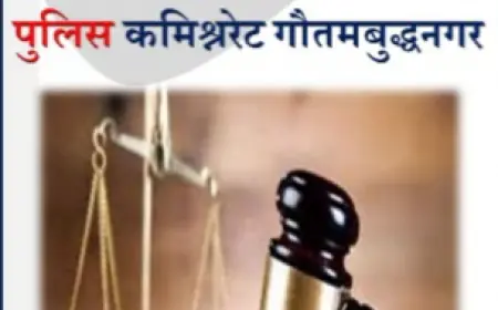 Noida News : नोएडा पुलिस ने विभिन्न जगहों से आधा दर्जन लोगों को गिरफ्तार किया है। इनके पास से पुलिस ने मादक पदार्थ और अवैध हथियार बरामद किया है