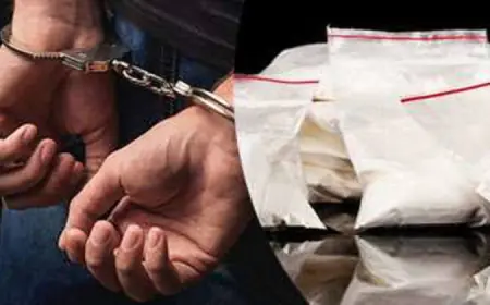 Greater Noida News : उड़ीसा से गांजा लाकर राष्ट्रीय राजधानी क्षेत्र में बेचने वाले तीन बदमाश गिरफ्तार, 148 किलो गांजा बरामद