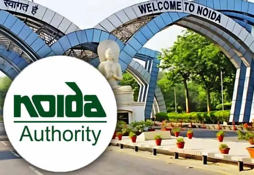 Noida News : दल्लूपुरा गांव में चल रहे थे अवैध क्रेशर, प्राधिकरण की टीम ने की छापेमारी