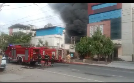 Noida News : पेंट फैक्ट्री में लगी भयंकर आग, 30 गाड़ियों की मदद से  पाया काबू