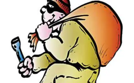 Noida News : बेटे का एक्सीडेंट होने की झूठी  सूचना देकर टप्पेबाज ने महिला को जाल में फंसाया  लाखों रुपए कीमत के  जेवरात और नगदी लेकर हुआ रफूचक्कर