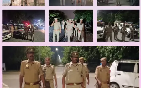 Noida News : विभिन्न जगहों से 12 बदमाश गिरफ्तार, अवैध हथियार और मादक पदार्थ बरामद