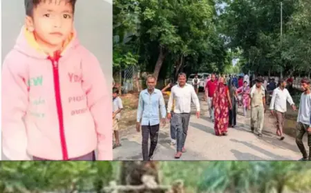 Greater Noida News : डी- पार्क के फव्वारे की हौदी में डूबकर 6 वर्षीय छात्र की मौत